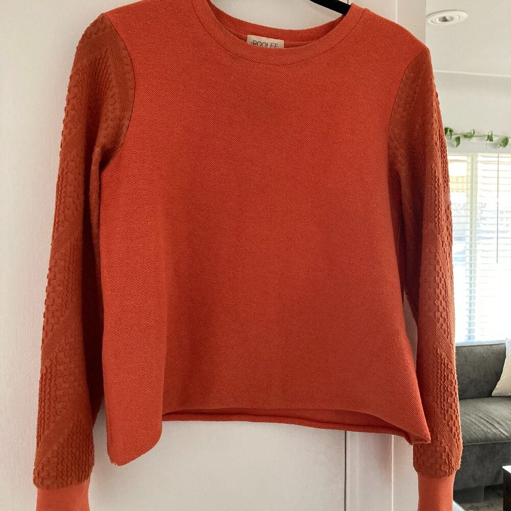Roolee Embroidered Sleeve Crop Sweater